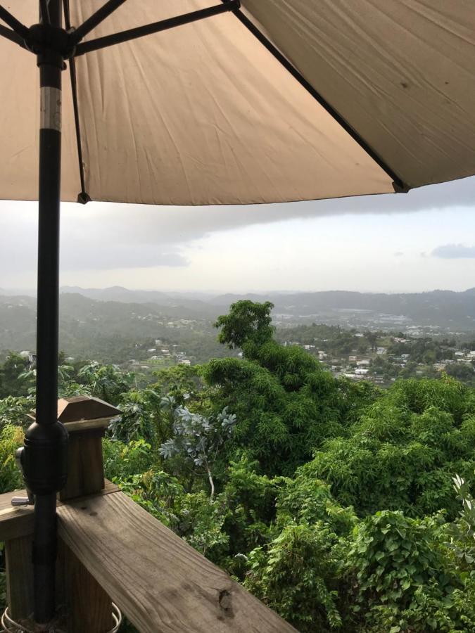 Camping Para Dos - A Escoger Segun Disponibilidad De Caseta O Cabana Caguas Exterior photo