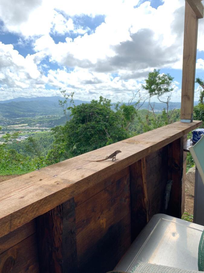Camping Para Dos - A Escoger Segun Disponibilidad De Caseta O Cabana Caguas Exterior photo